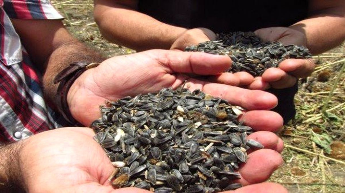 Afyonkarahisar Ticaret Borsası