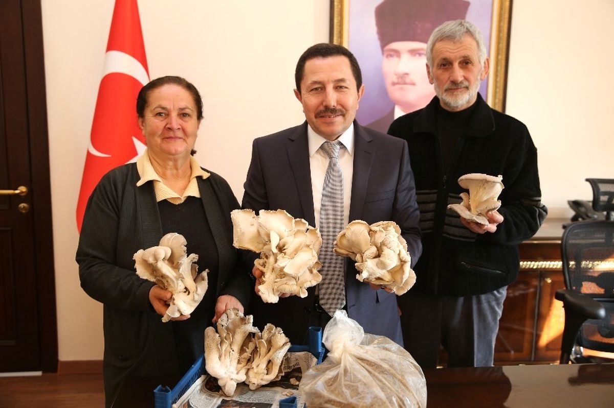 Çiftçi Çiftin Azmi