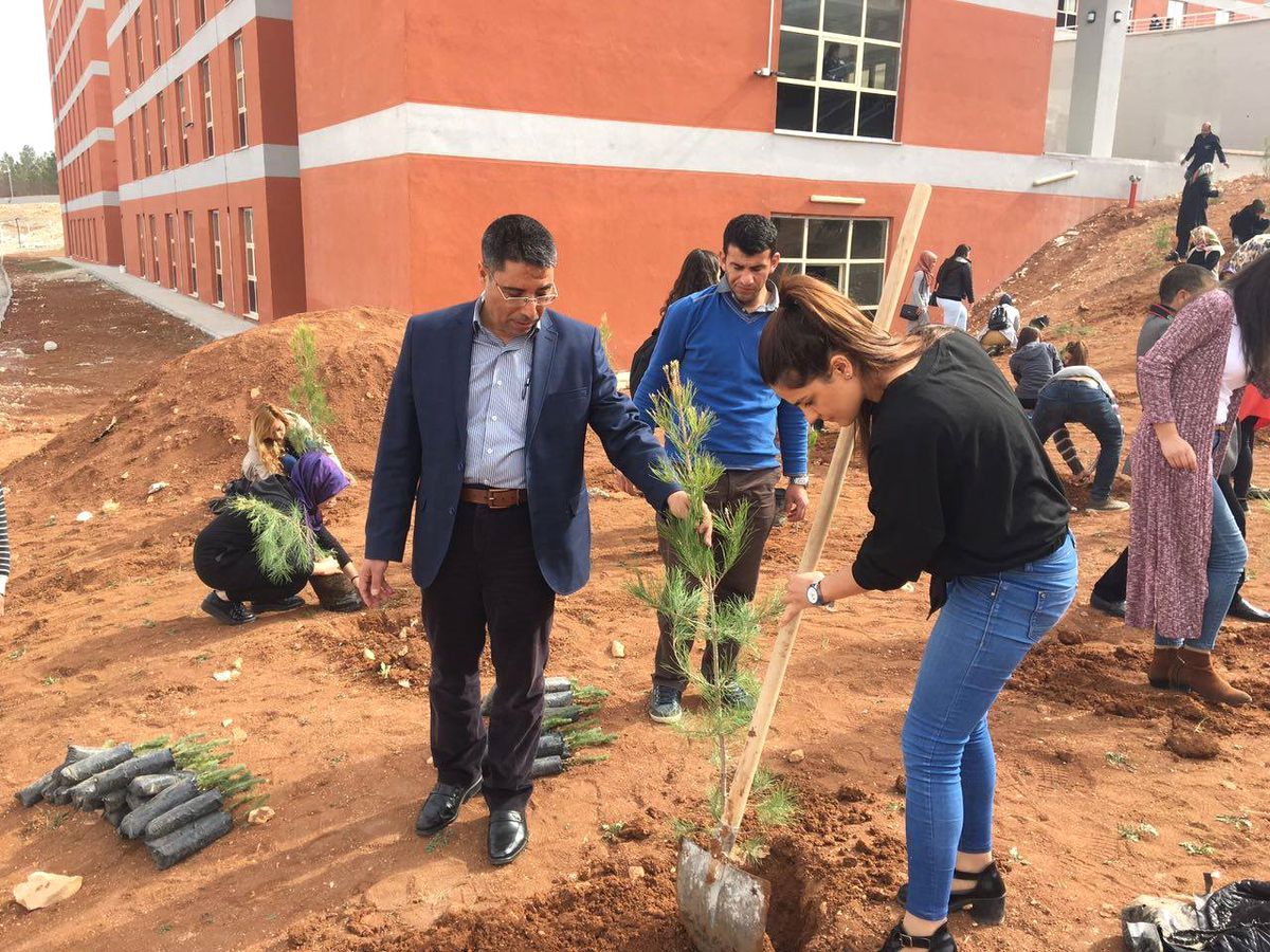 KYK Ormanları Yükseliyor