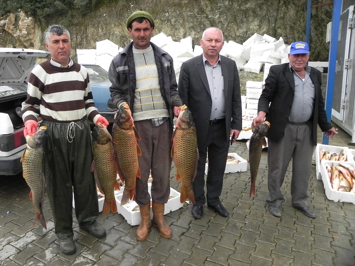 Baraj Gölü\'nde Günde 500 Kilo Balık Avlıyorlar