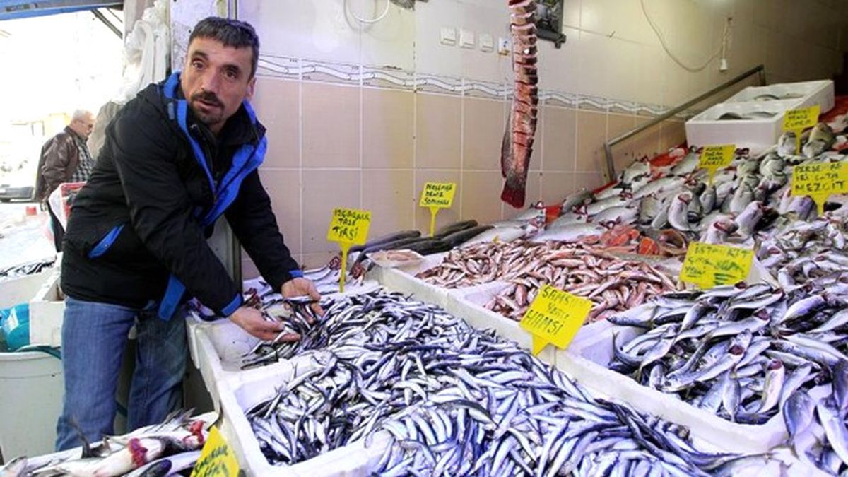Havalar Isındı, Balık Fiyatları Düştü
