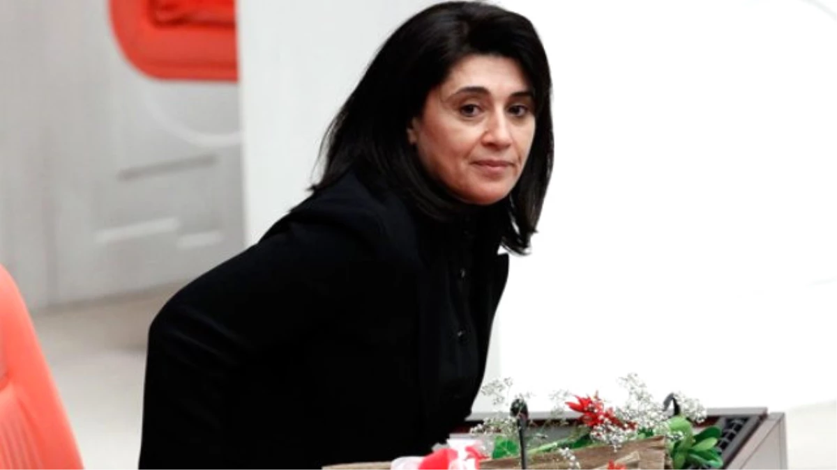 HDP\'li Zana Hakkında 3 Ayrı Suçtan 20 Yıla Kadar Hapis İstemi