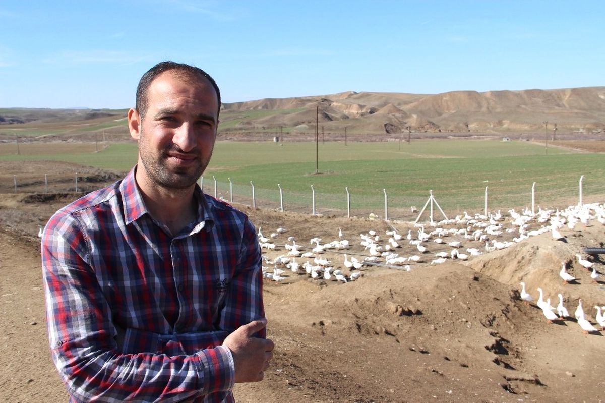 İnşaat Mühendisi Kaz Çiftliği Kurdu