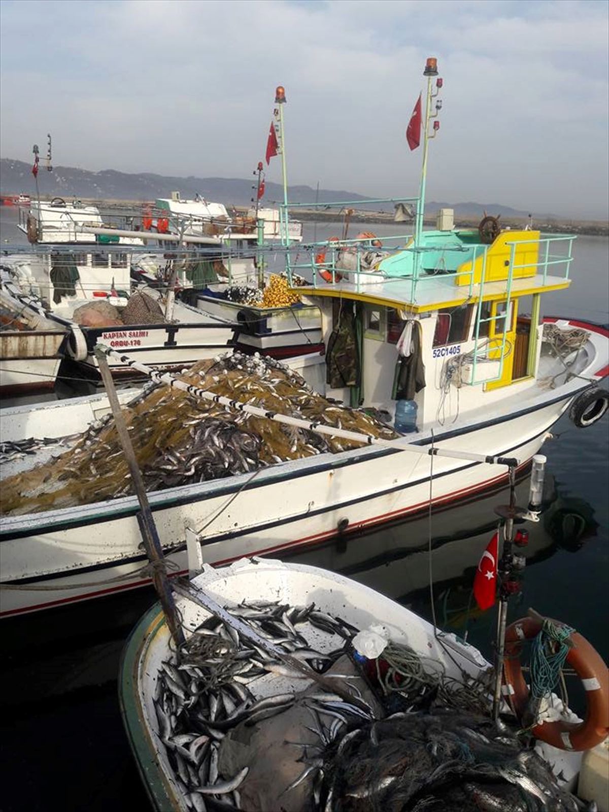 Karadeniz\'de Kefal Akını Balıkçıları Sevindirdi