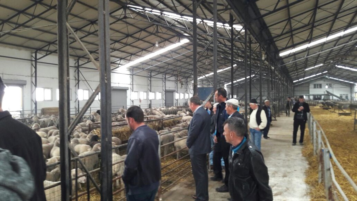 Kırsal Kalkınma İçin Her Türlü Adım Atılıyor