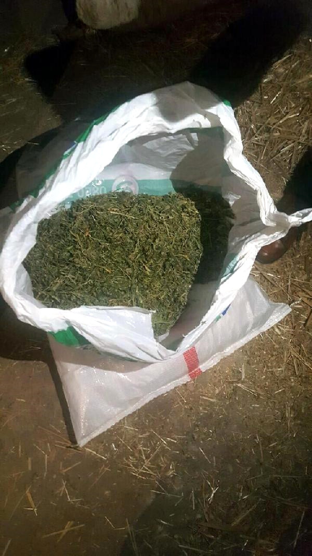 Seferihisar\'da Uyuşturucuya Karşı Jandarma Göz Açtırmadı