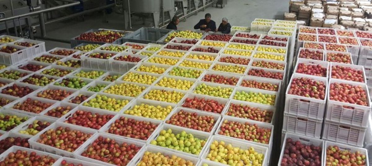Türkiye Ürün Borsası Kuruldu