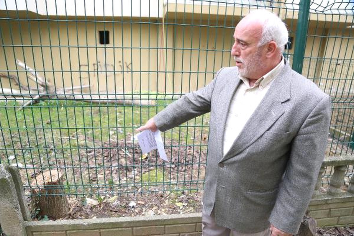 Ağaçları Kesen Komşusundan Şikayetçi Oldu
