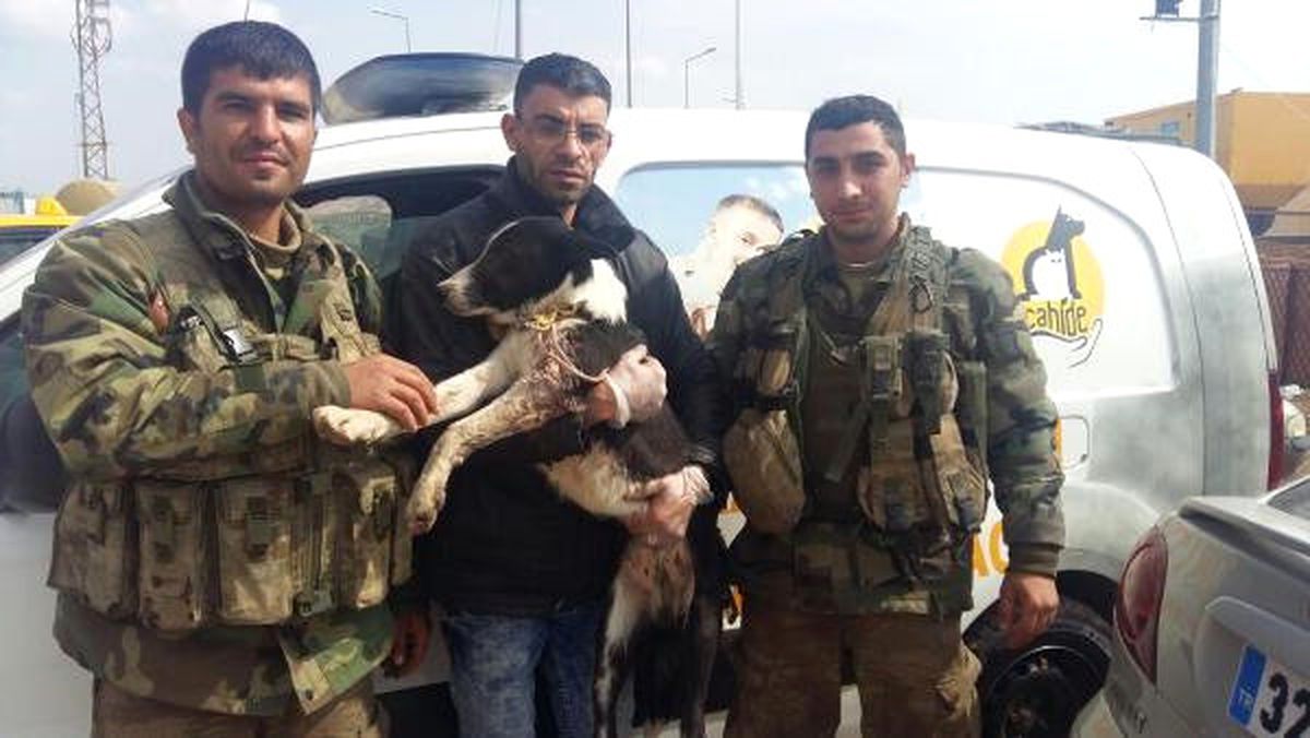 Barış\'tan Sonra El Bab\'da Yaralanan \'Mucize\' de Gaziantep\'te
