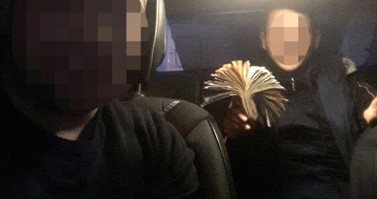 Çalıştığı Pizza Zincirinin 4 Ayrı Şubesini Soyan Zanlı Yakayı Ele Verdi