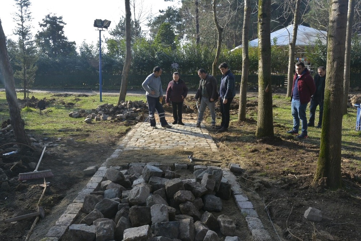 Fatsa Belediyesinin Yol Düzenleme Çalışmaları