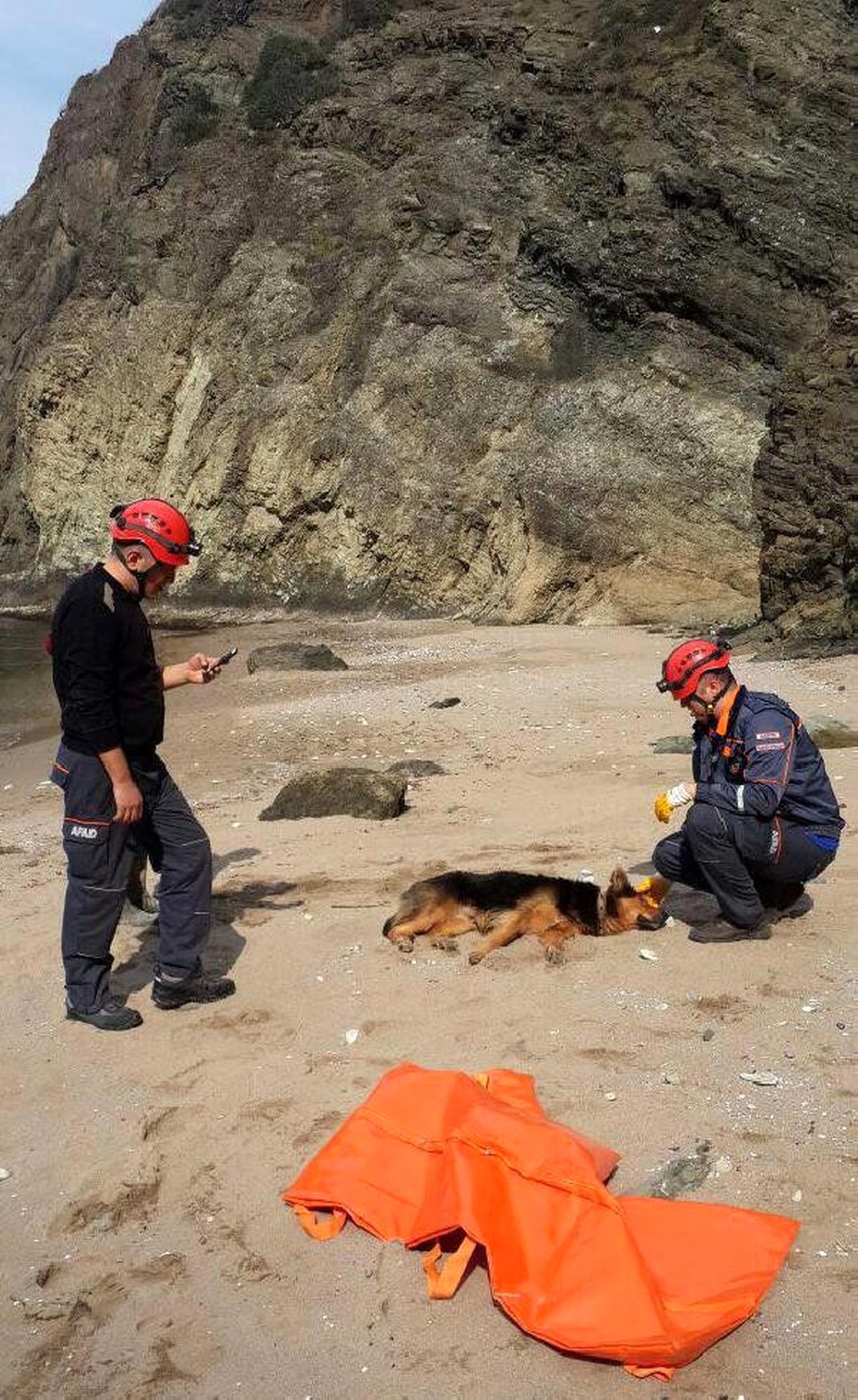 Kayalıklardan Düşen Köpek Sahil Güvenlik Botuyla Kurtarıldı