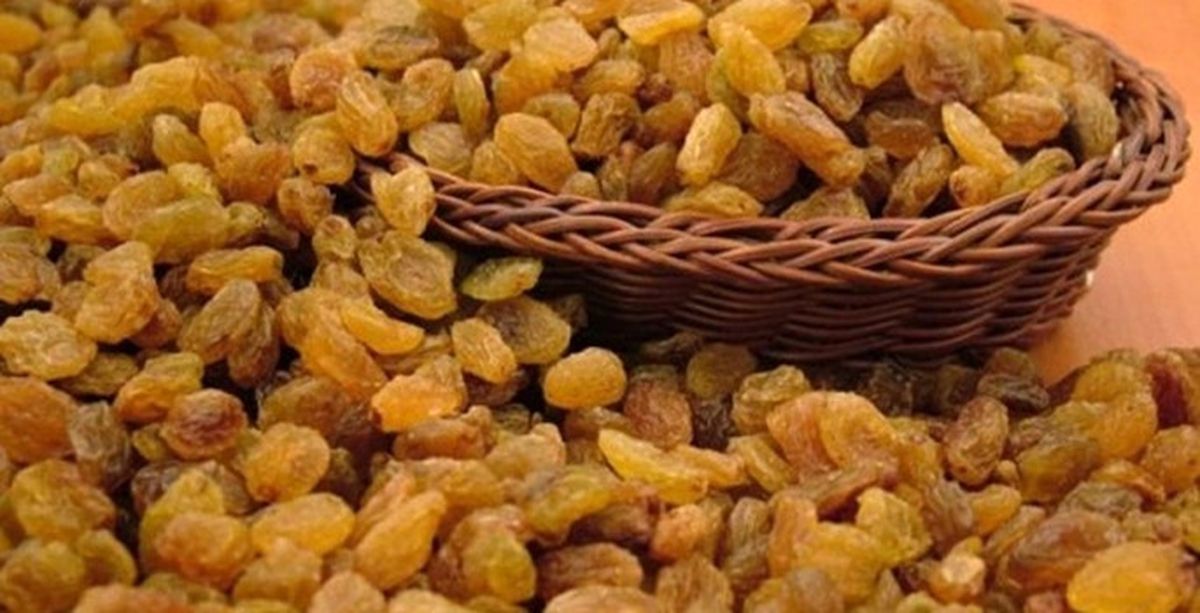 Manisa Ticaret Borsası