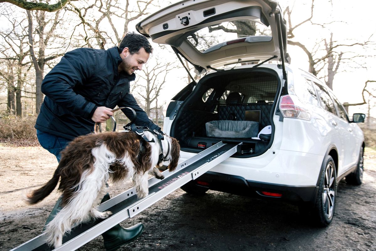 Nissan\'dan köpek dostu ailelere özel...