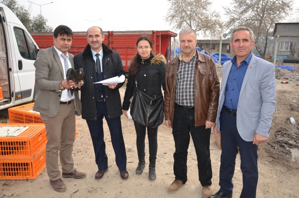 Soma Ziraat Odası\'ndan Yumurta Tavuğu Hizmeti
