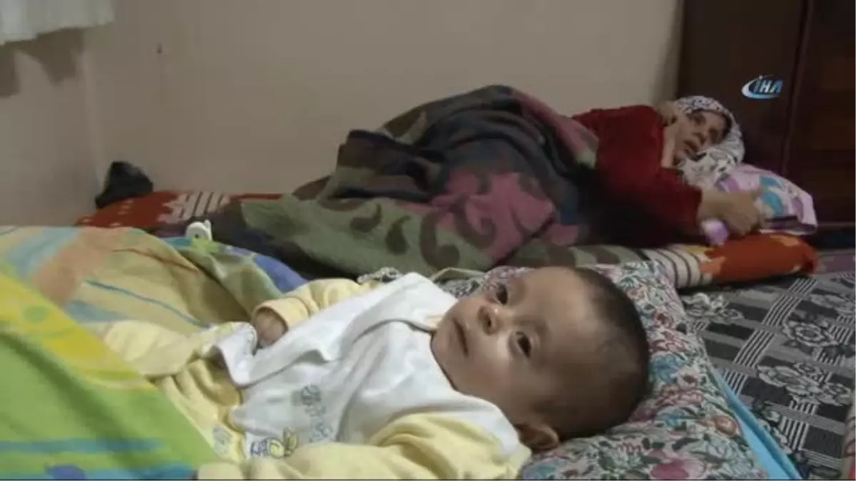 Suriyeli Ailenin Erdoğan Sevgisi, Üçüz Bebeklerine İsim Oldu