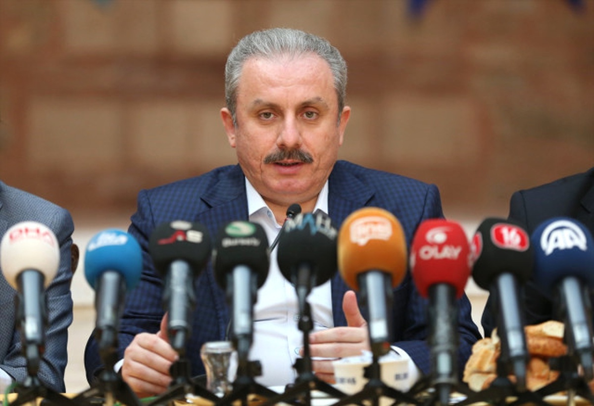 Cumhurbaşkanlığı Hükümet Sistemi" Konferansı