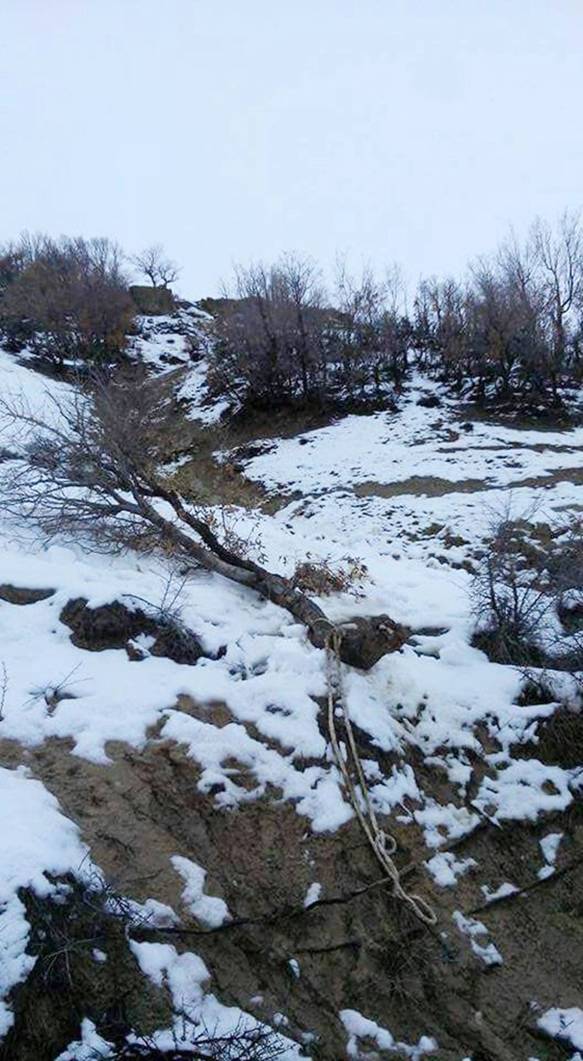 Elazığ Belediyesinden Yeni Uygulama