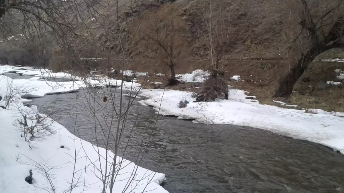 Kars Çayında Buzlar Erimeye Başladı