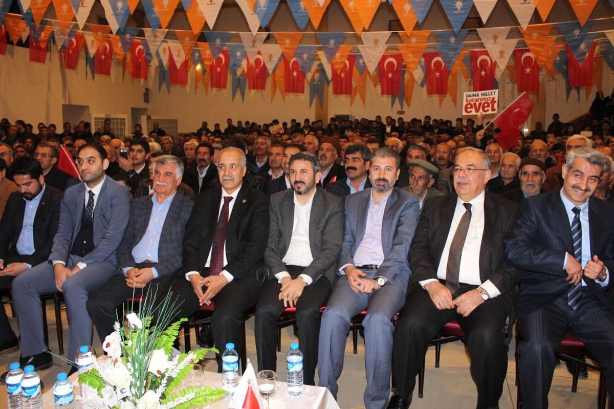 Cern\'e Açık Kalp Ameliyatı
