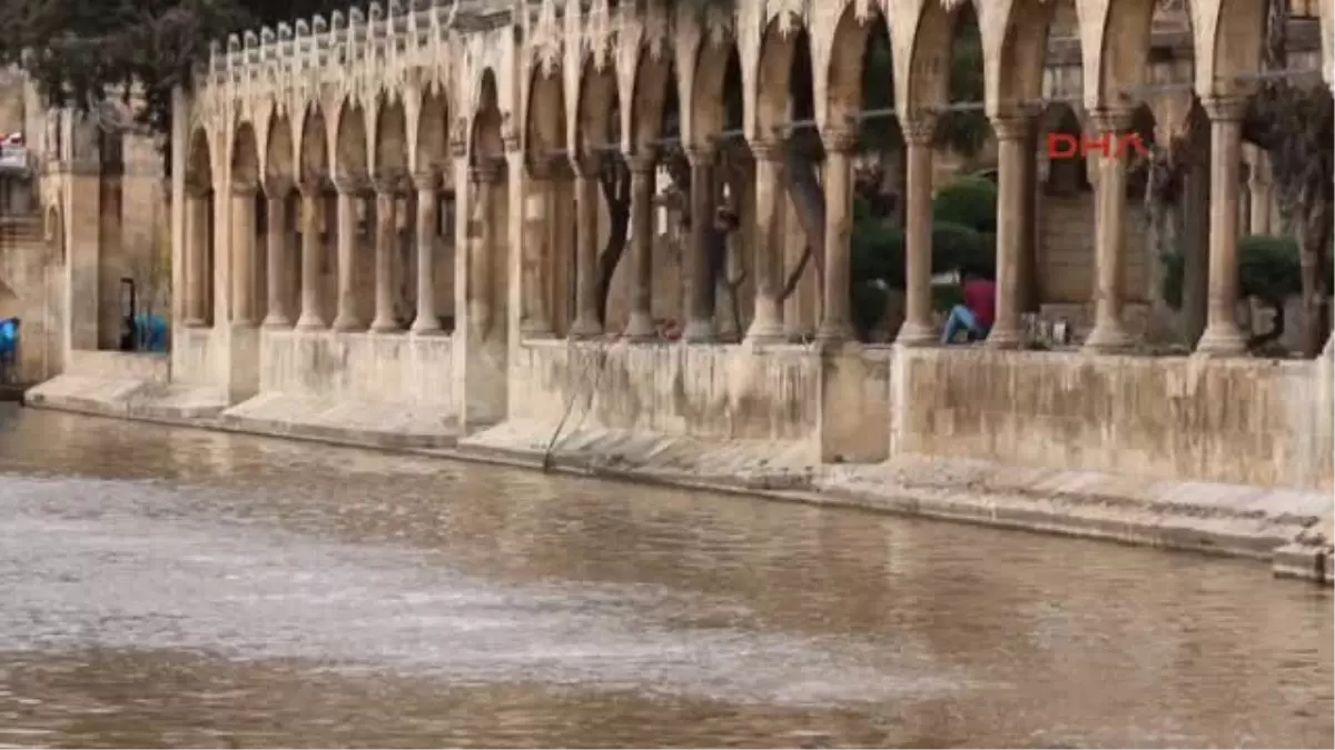 Şanlıurfa Balıklıgöldeki Çamur Temizleniyor