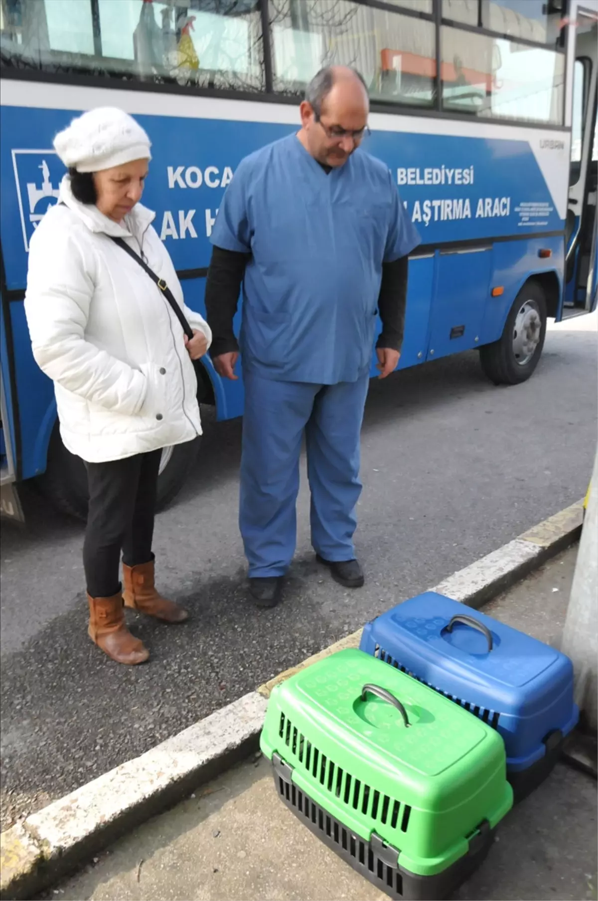 Sokak Kedilerine Mobil Veterinerlik Hizmeti