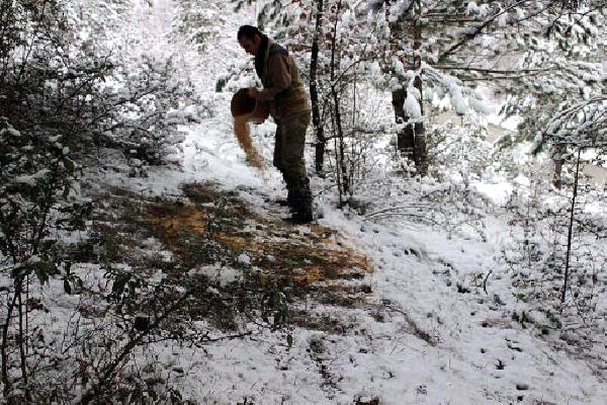 Tunceli\'de Yaban Hayvanları İçin Doğaya Yem Bırakıldı