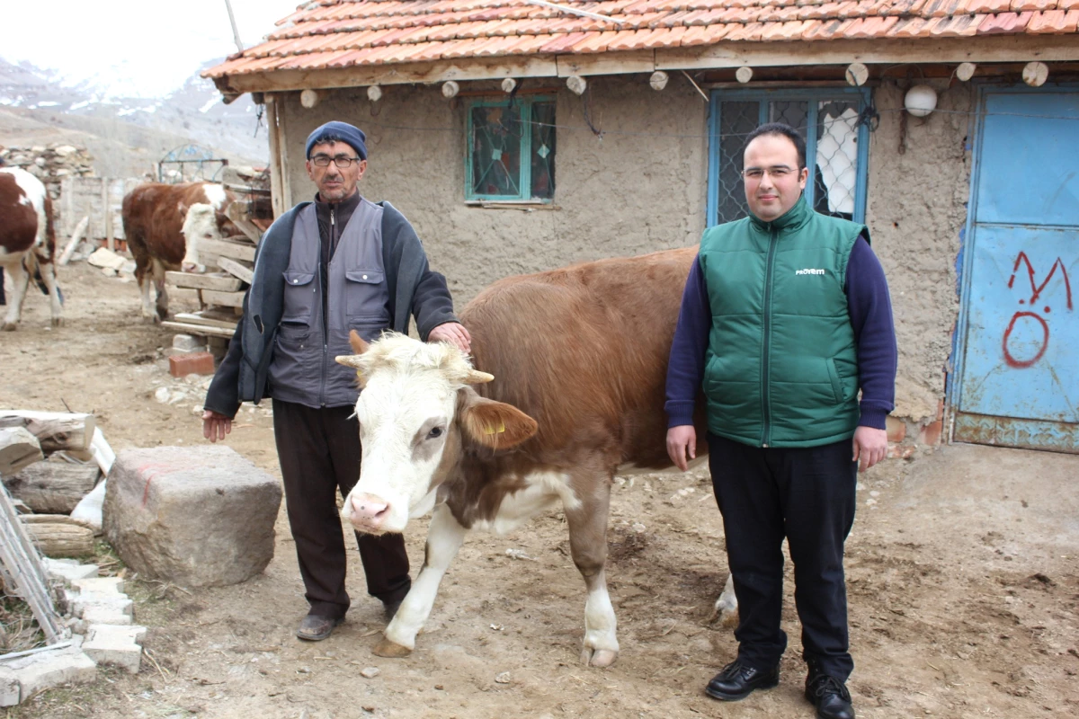 Türk Bilim Adamının Mikroçipi \'Sarıkız\'ı Kesilmekten Kurtardı