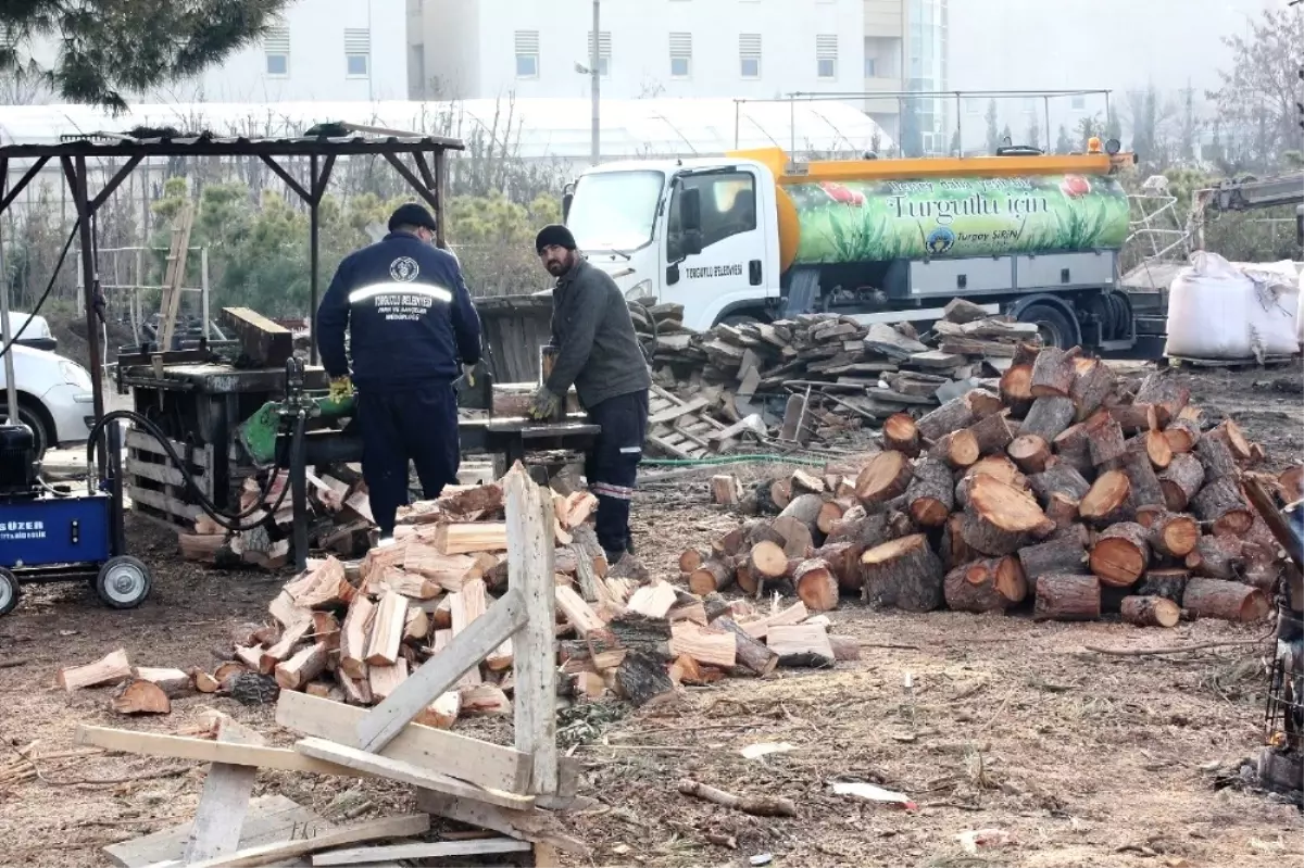 Ağaç Dalları Yüzlerce Aileyi Isıttı