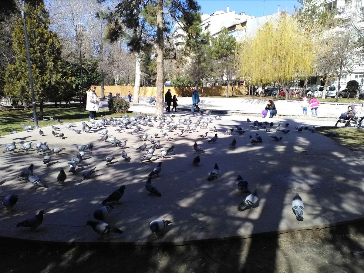 Eskişehir\'de Çocuklar Parklara Koştu