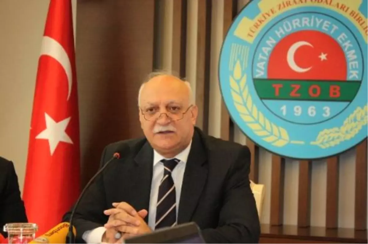 Tzob Genel Başkanı Bayraktar: "Kuru Soğandaki Sorun Planlama Eksikliği"