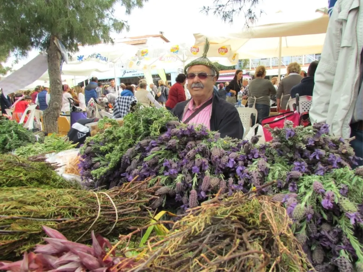 Alaçatı Ot Festivali İçin Geri Sayım