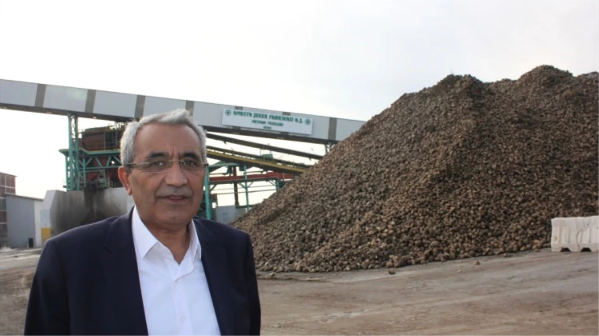 Amasya Şeker Fabrikası Yönetim Kurulu Başkanlığına Öksüz Getirildi
