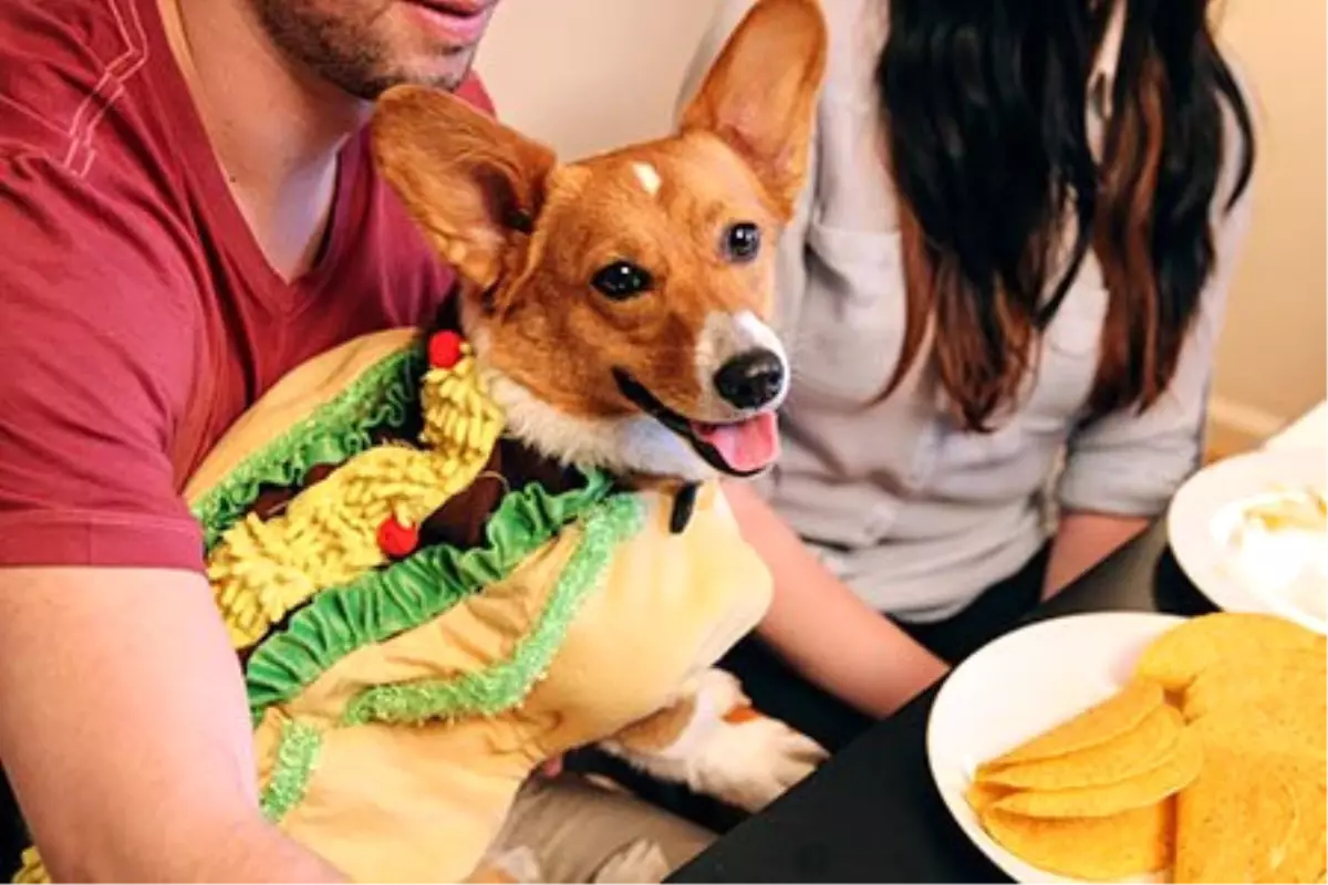 Google Fotoğraflar Otomatik Beyaz Dengesi Özelliği Android ve Web\'e Geldi!