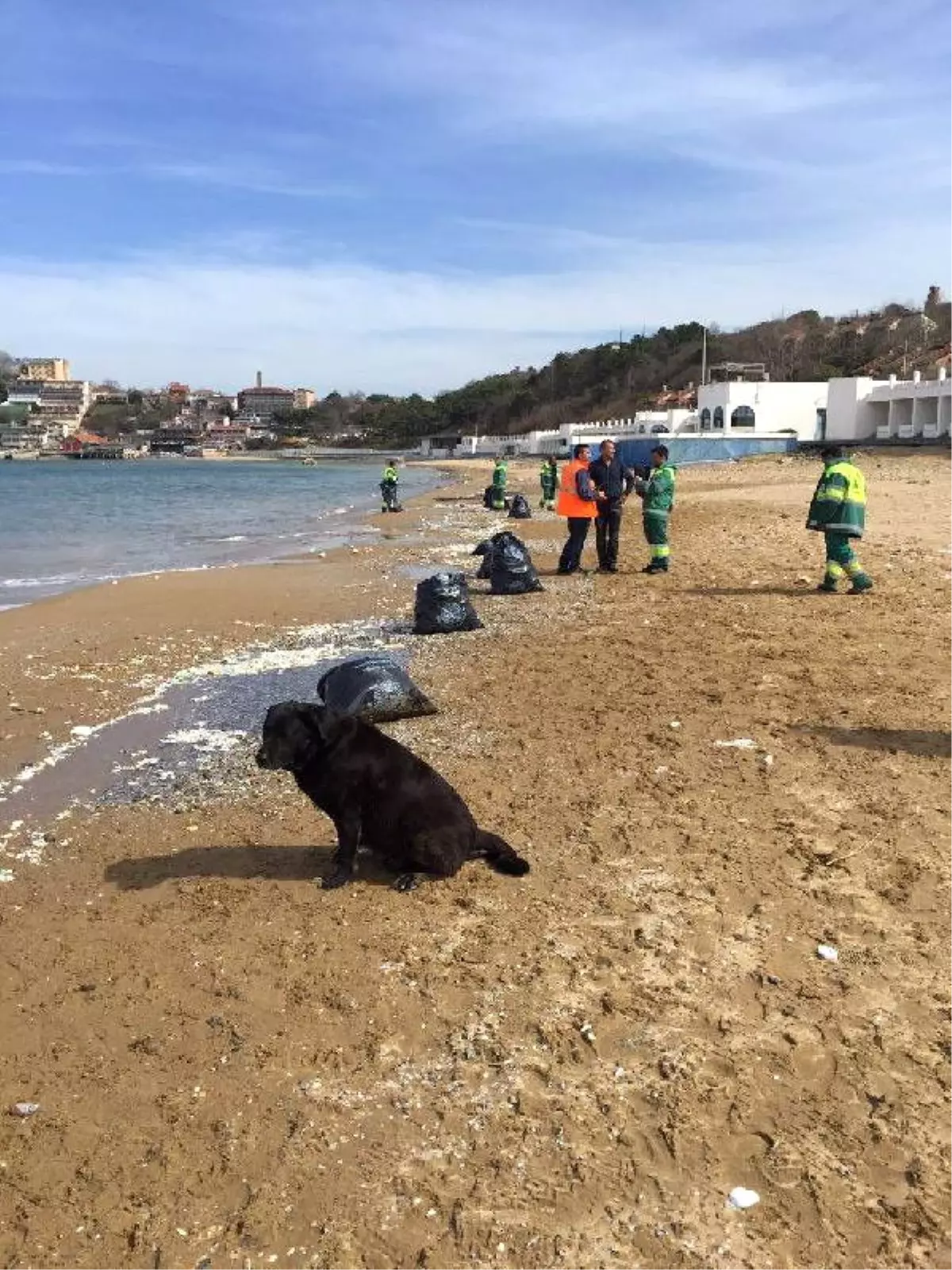 Kilyos Plajı\'na Dökülen Molozlara Sarıyer Belediyesi\'nden Açıklama