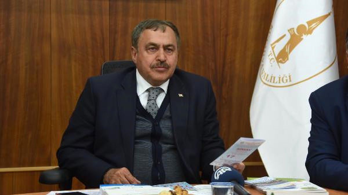 Bakan Eroğlu, Simav\'da Anayasa Değişikliğini Anlattı (4)