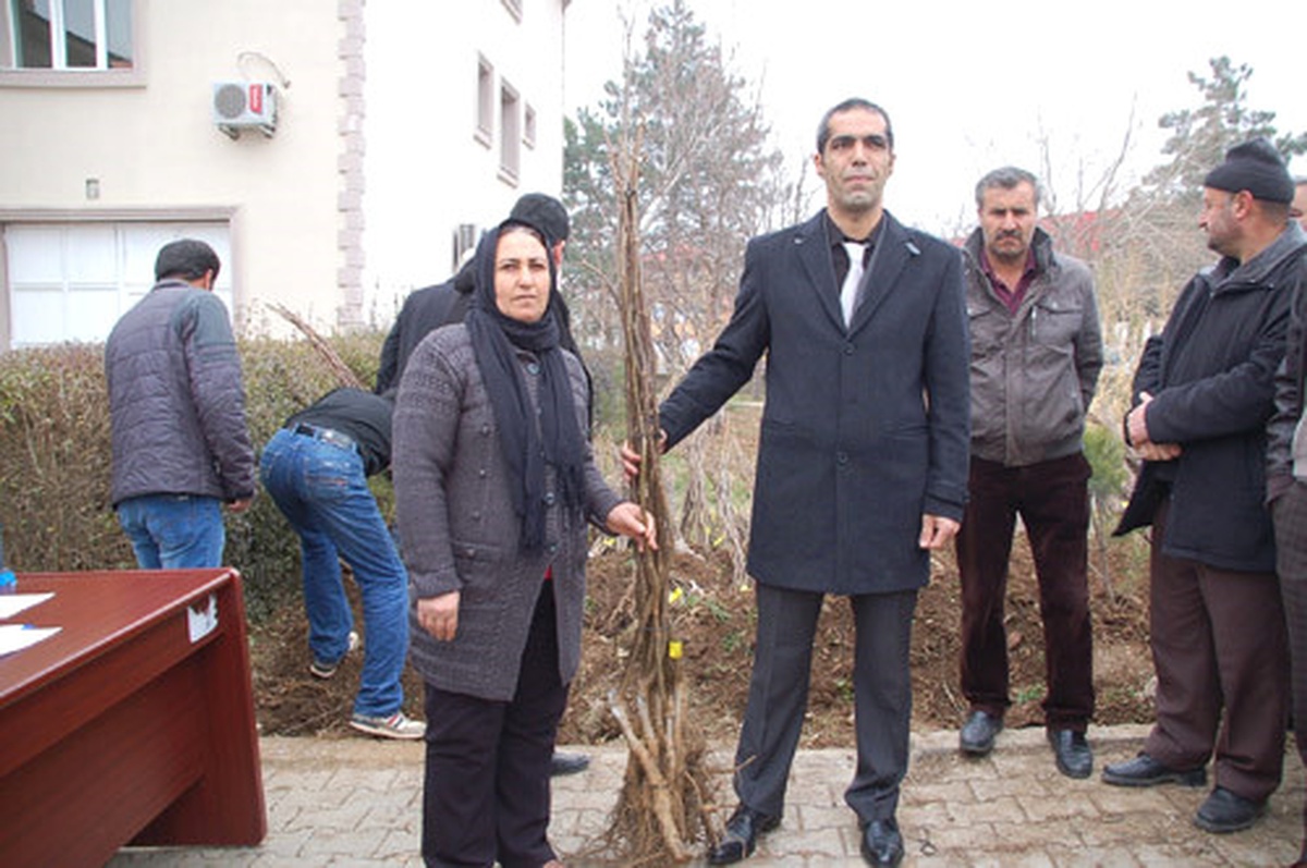 Afşinli Çiftçilere Yüzde 60 Destekle Ceviz Fidanı