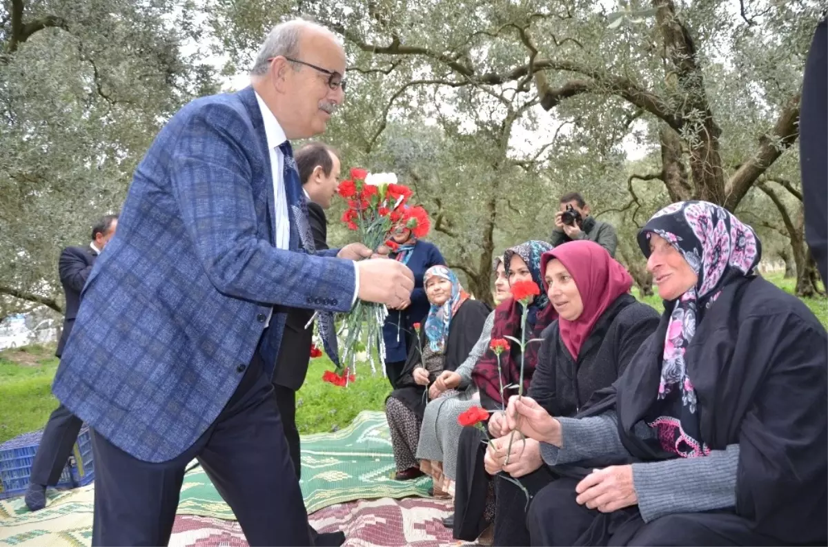 Başkandan Kadınlara Zeytin Tarlasında Çiçek