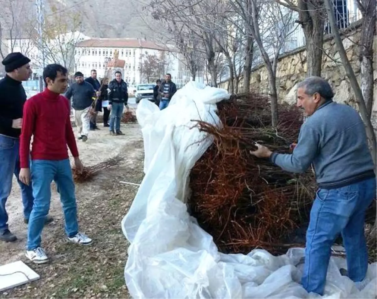 Keban\'da Badem Fidanı Dağıtıldı