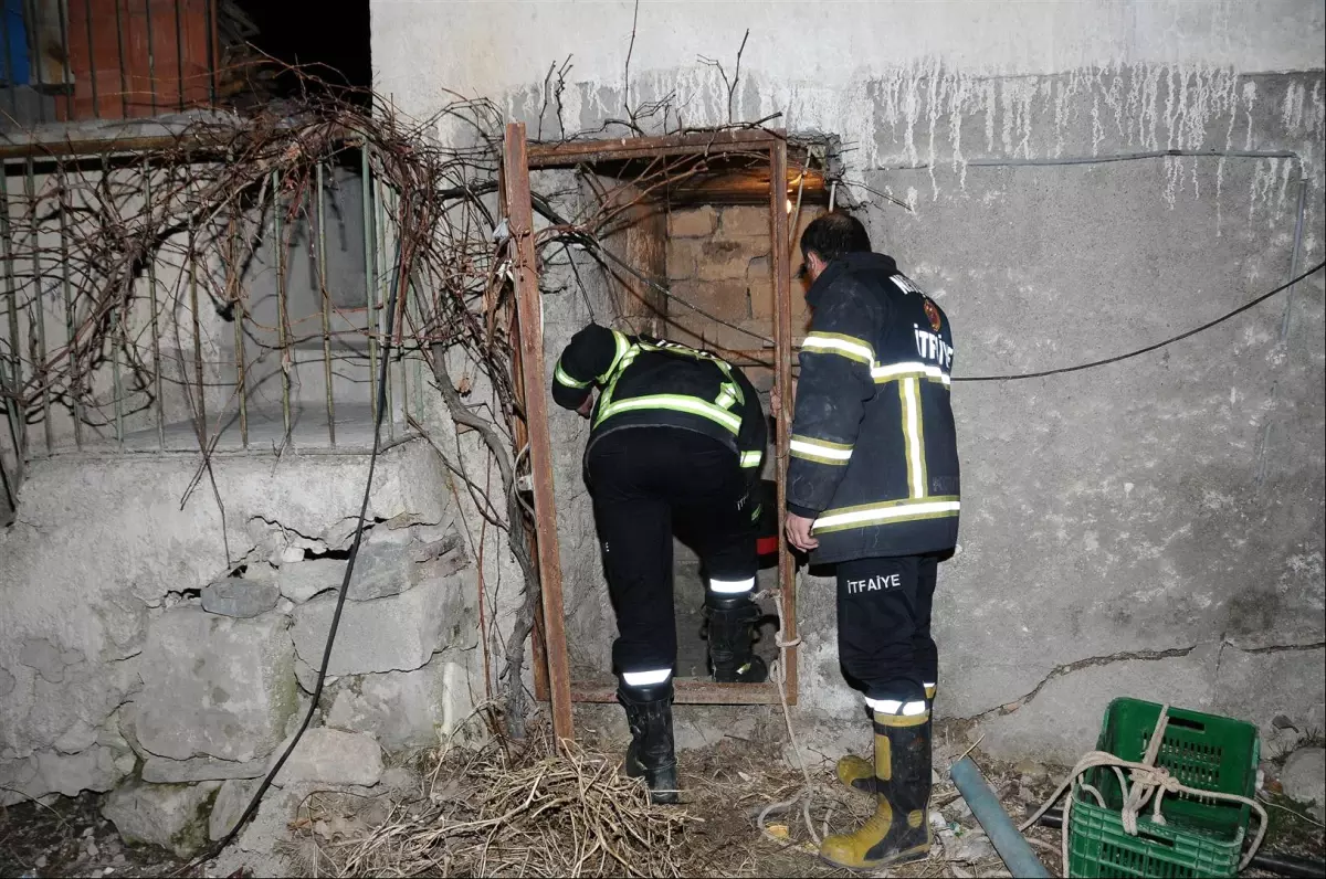 Kullanılmayan Su Kuyusuna Düşen Kediyi İtfaiye Ekipleri Kurtardı