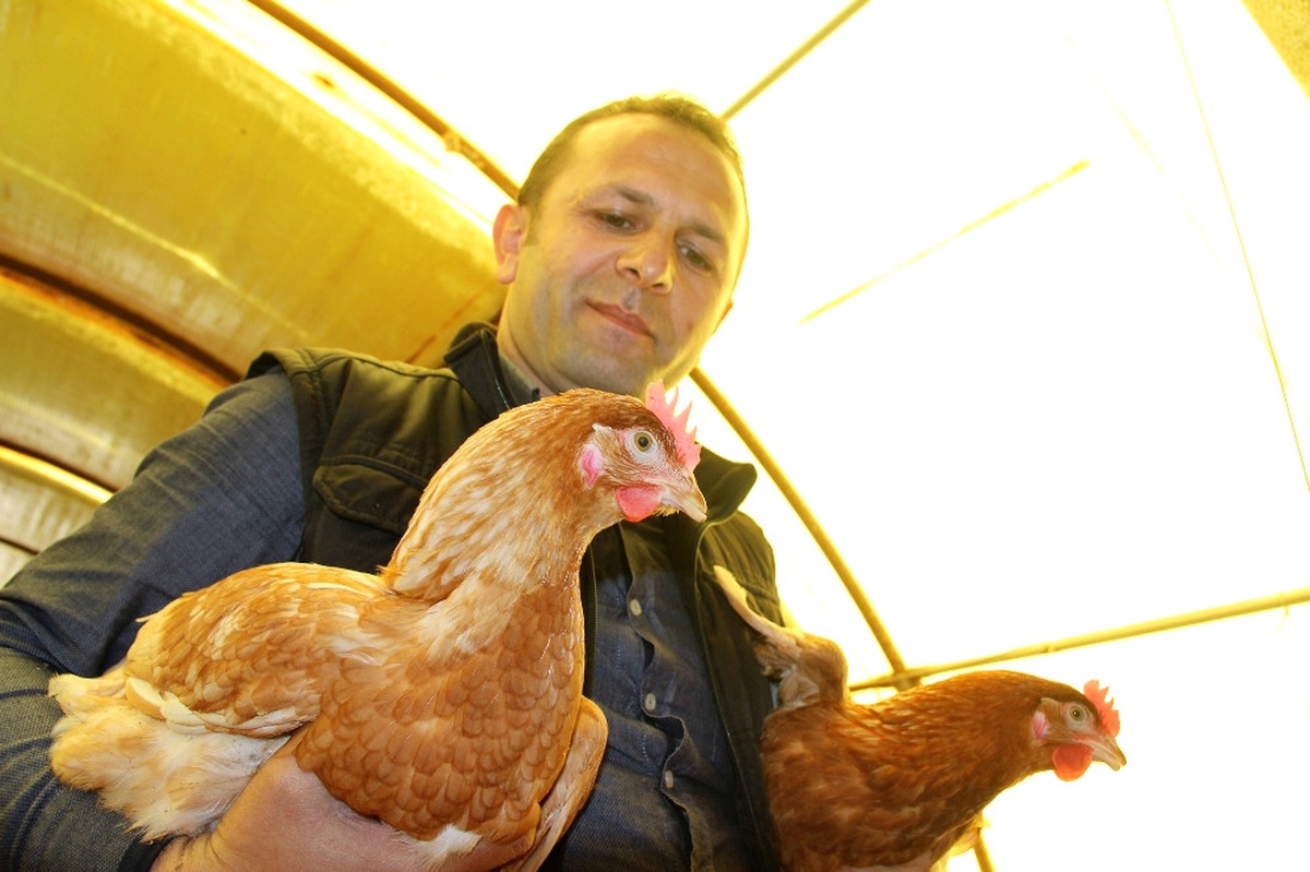Ödünç Aldığı 1 Horoz, 2 Tavuk Hayatı Değişti