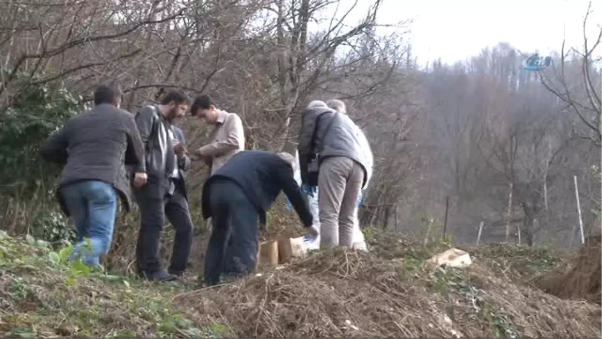 Ormanlık Alanda Erkek Cesedi Bulundu