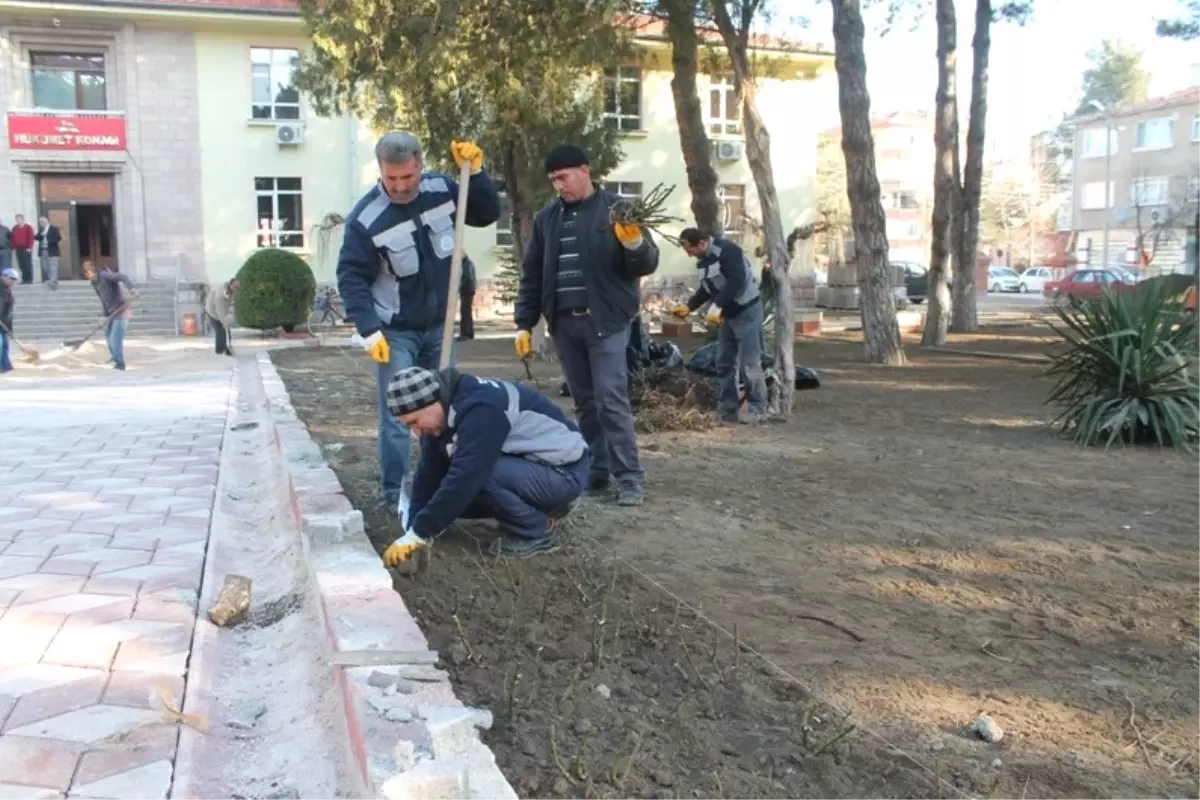 Turhal Hükümet Konağı Bahçesine Bin 500 Gül Dikilecek