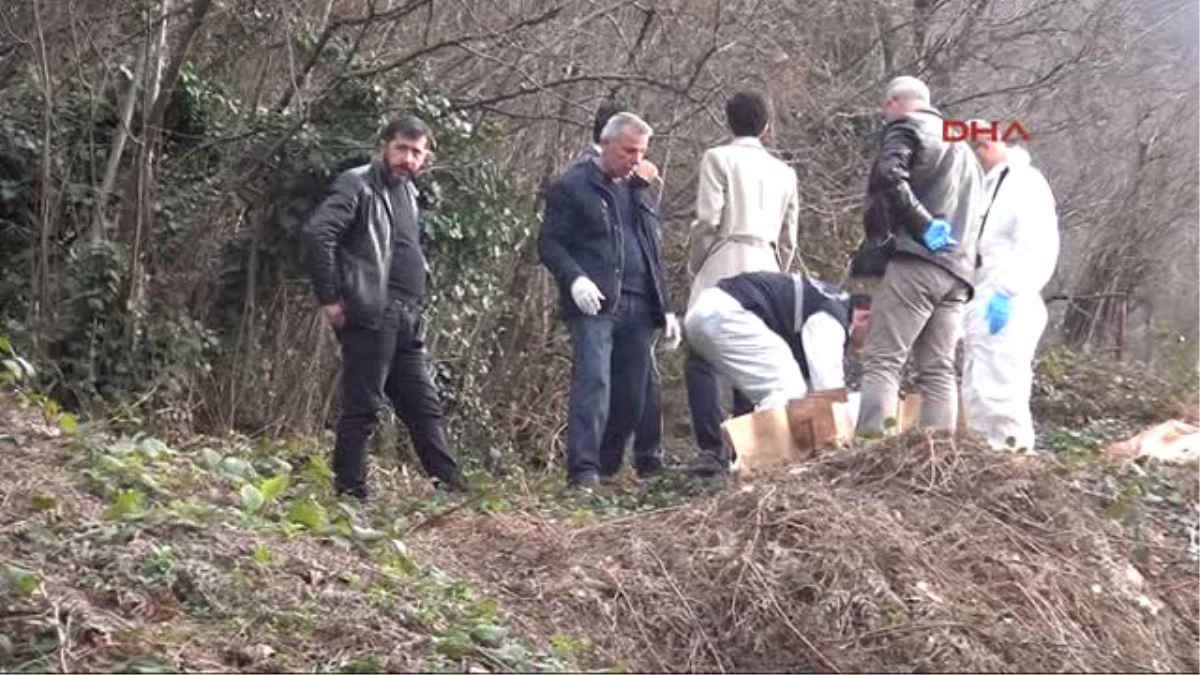 Zonguldak - Zılbıt Toplamaya Giden Kadın, Insan Kemikleri Buldu