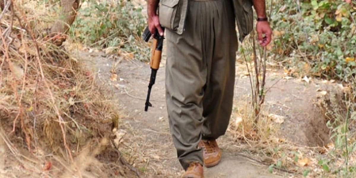 Akçakale\'de Pyd\'li Yakalandı