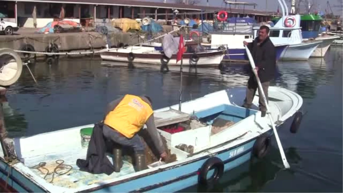 Bereketli" Geçen Sezonun Ardından Kıyı Balıkçıları Iş Başında