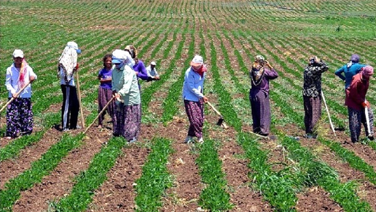 Fas\'ta 8 Mart Dünya Kadınlar Günü