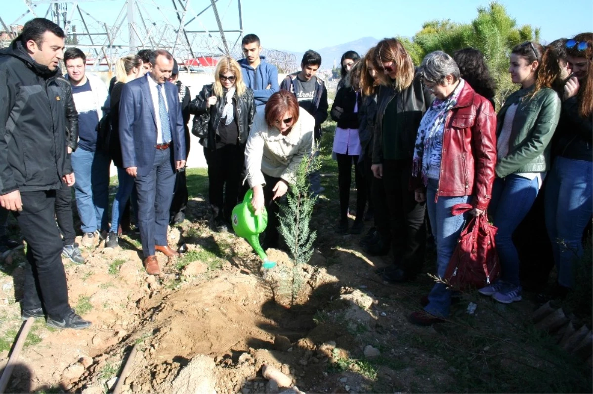 Kıbrıs\'ta Yapılan Uluslararası Kongrenin Karbon Ayak İzini Aydın\'da Sıfırlandı