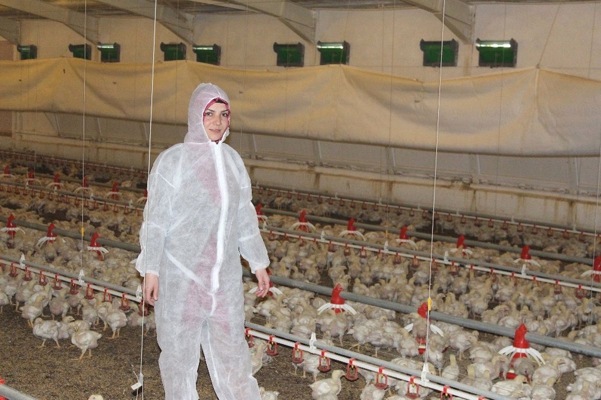 Köyüne Yerleşip Kendi İşinin Patronu Oldu