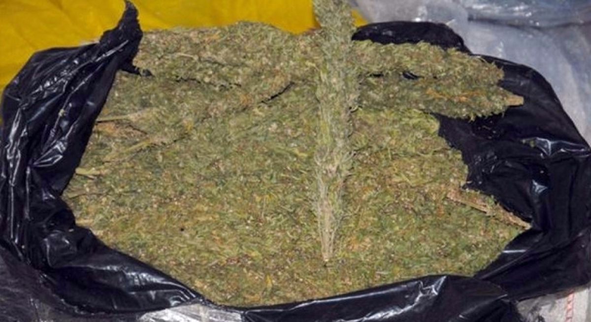 Osmaniye\'de 143 Kilogram Esrar Ele Geçirildi